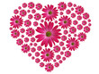 Blumenherz Pink Blumenherz Pink