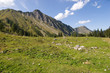 pasilalm 011