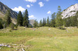 pasilalm 017