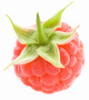 Raspberry on white