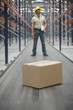 Cardboard box and worker in warehouse