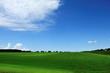 Summer background Summer background