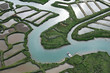 Marais Salants et parcs a Huitres du pays de Marennes (17) Marais Salants et parcs a Huitres du pays de Marennes (17)