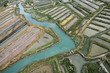 Marais Salants et parcs a Huitres du pays de Marennes (17)