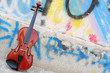 the violin