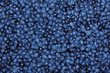 Ripe blueberries.