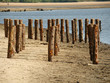 Pfäle am Wasser