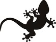 vector gecko tattoo isolated on withe background vector gecko tattoo isolated on withe background