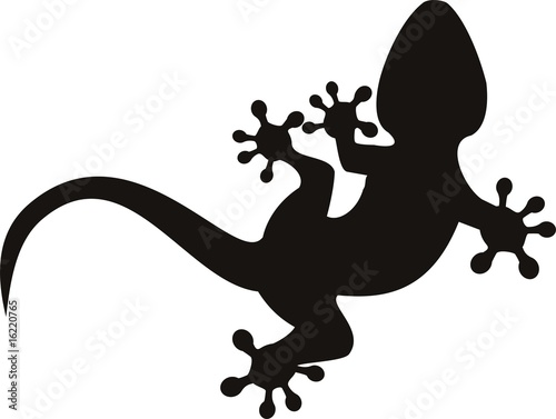 vector gecko tattoo isolated