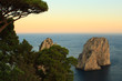 Faraglioni at Dusk