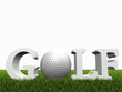 golf concept on green gras