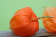 Frucht des japanischen Lampions Frucht des japanischen Lampions