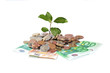 Plant hand and money. Plant hand and money.
