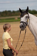 Schimmel - Reitpferd