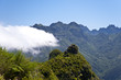 madeira