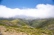madeira