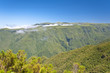 madeira