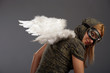 The girl with white angelic wings The girl with white angelic wings