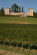 Vigneti intorno al castello di Trussio - Collio - Friuli