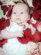 baby on petals