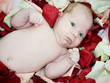 baby on petals