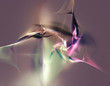 fractal project