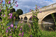 Bridge in London