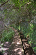 madeira