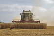 Harvest in the dust- Mähdrescher auf dem Feld