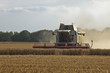 Harvestpower - Mähdrescher auf dem Feld