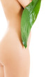 female torso with green leaf over white