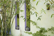 Green wall with bamboo and window openings