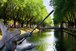 Schattiger Boulevard