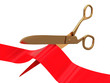 ceremony scissors