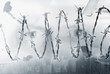 "Montage of security cameras, eyes and barbed wire"