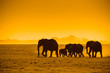 silhouettes of elephants silhouettes of elephants