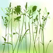 real grass silhouette - vector - two colors