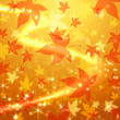 舞い散る紅葉