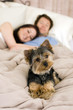 Couple in bed