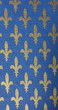 rois de france - fleur de lys