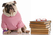 dog obedience school - bulldog sitting beside a stack of books