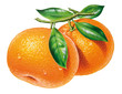 Mandarinen