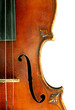 Part of violin on white background. Part of violin on white background.