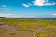 Marais salants, marée basse à Rimouski, Québec