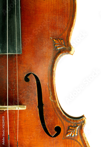 Photo: Part of violin on white background. Part of violin on white background.