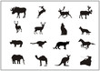 Tiere zwischen Norwegen und Afrika