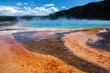 Foto: Acqua e batteri Yellowstone N.P. ©2009 GecoPhotography Acqua e batteri Yellowstone N.P. ©2009 GecoPhotography