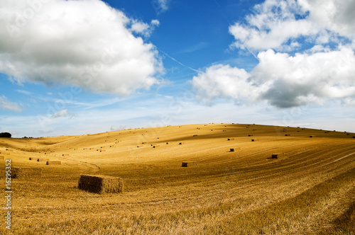 Photo: Hay bales in field Hay bales in field