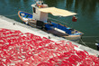 fishing boat