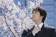 桜の花の前に立つスーツ姿の男性